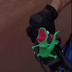 The Lizard RIDEBUDDY™